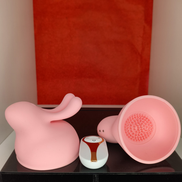 Stimolatore Donna Con Telecomando – rosa, USB