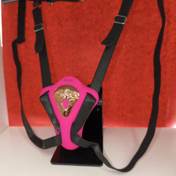 Vibratore Indossabile Con App – fucsia